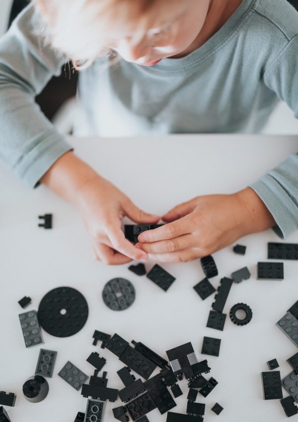 Early learner toys for fine motor skill development